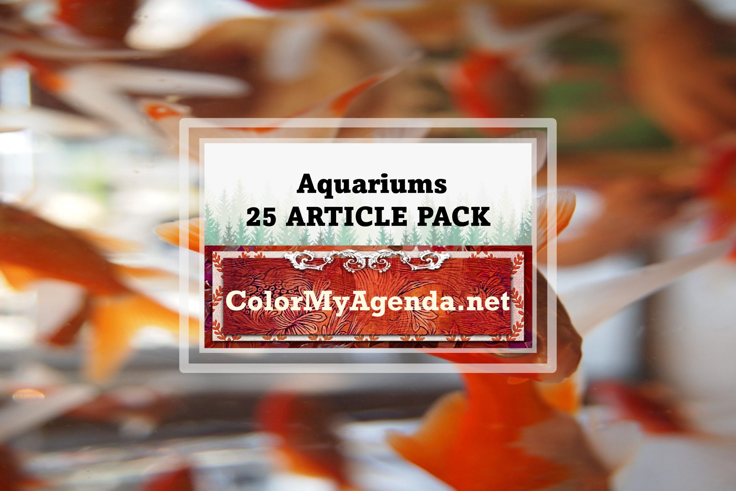 25 Aquarium Article Pack